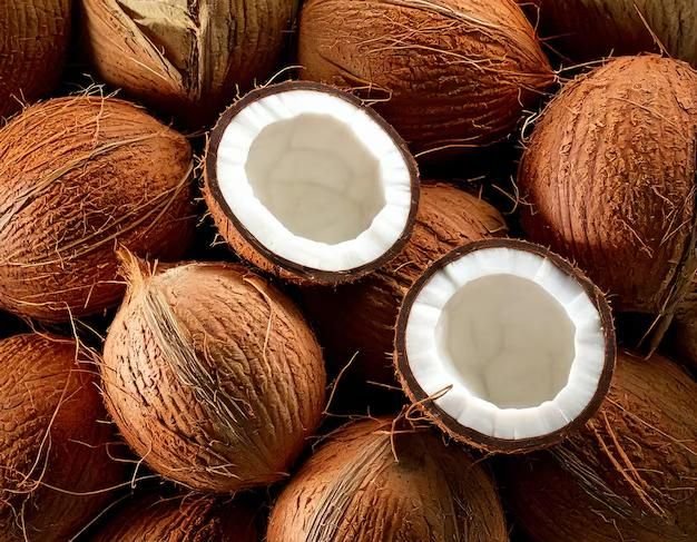 Palm